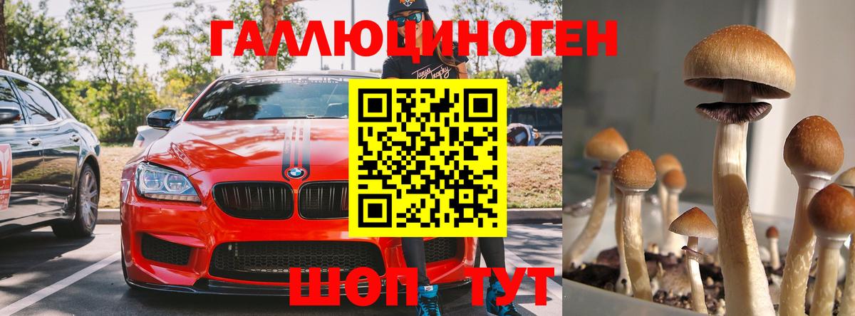 Псилоцибиновые грибы мухоморы Рассказово
